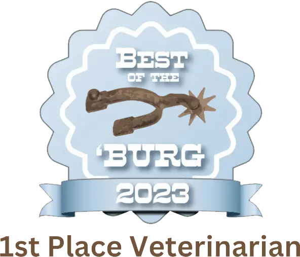 Best of the Burg 2023 Winner