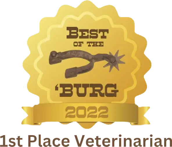 Best of the 'Burg 2022 - 1st Place Veterinarian