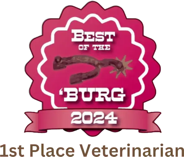 Best of the 'Burg 2024 - 1st Place Veterinarian