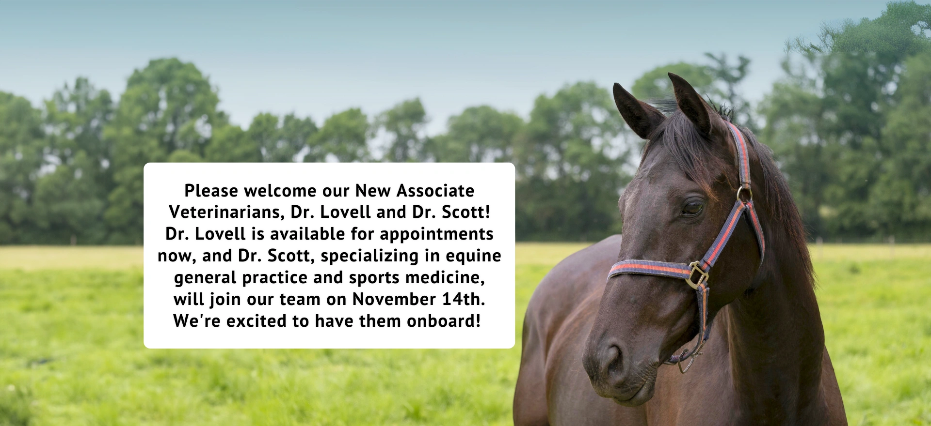 Please welcome our New Associate Veterinarians, Dr. Lovell and Dr. Scott! 