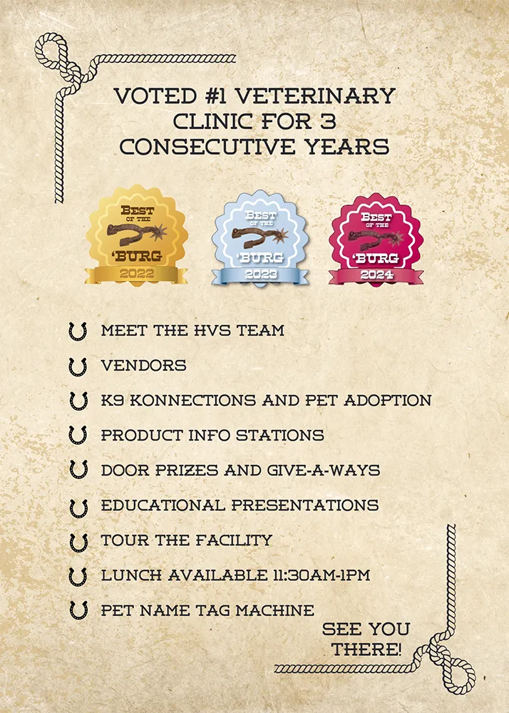 Voted #1 Veterinary Clinic for 3 Consecutive Years