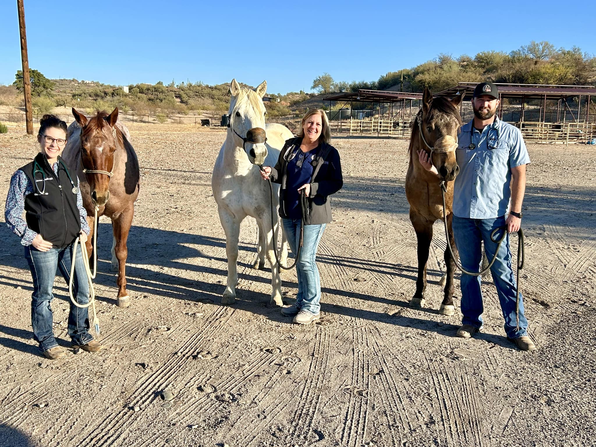Vets From Hassayampa With Horses