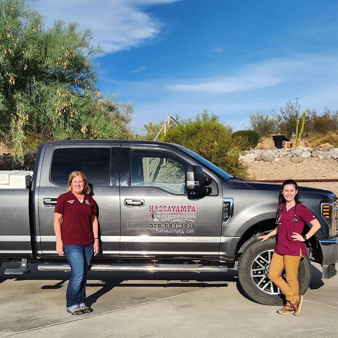 Two Female Veterinarians Standing Next To Truck