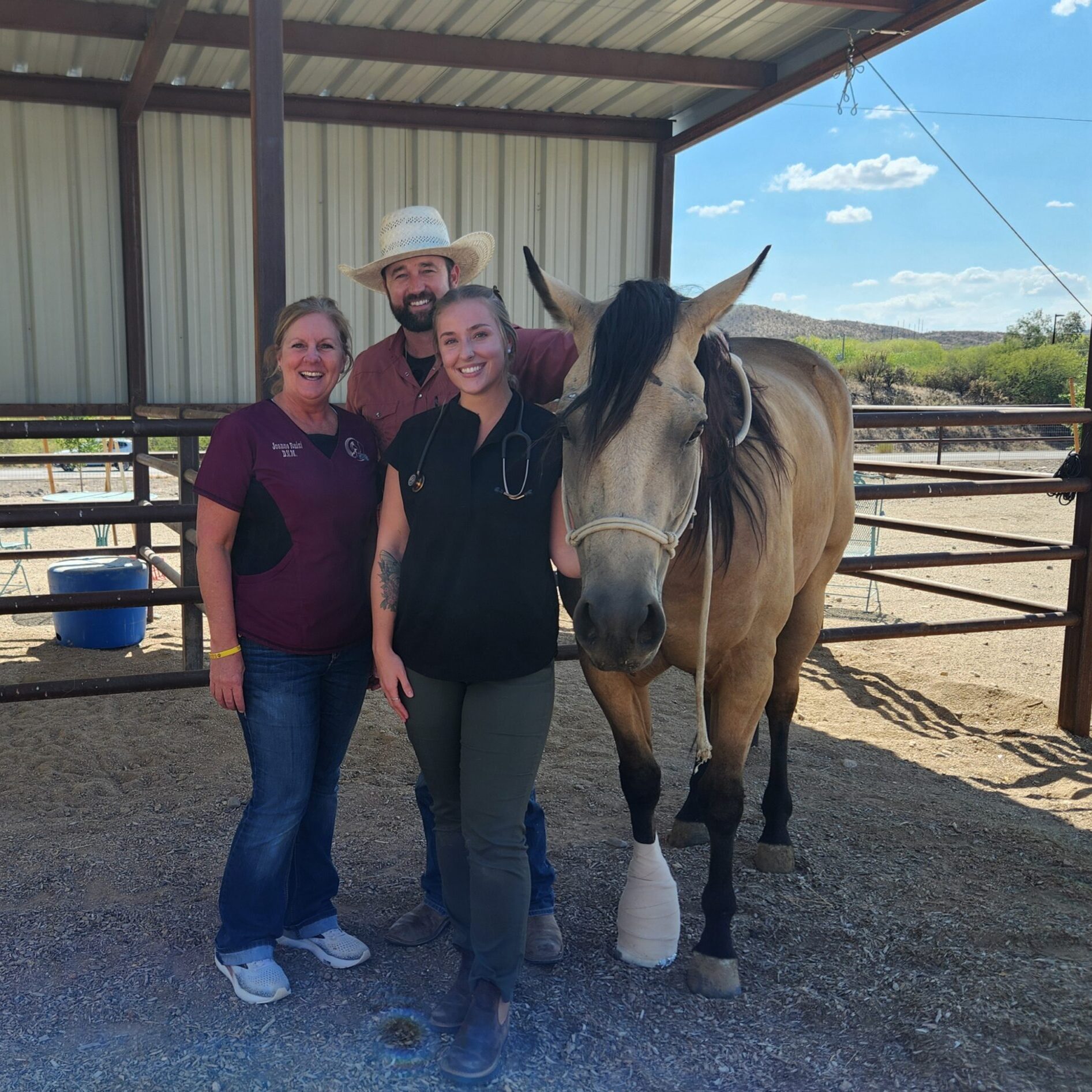Hassayampa Veterinary Services Team