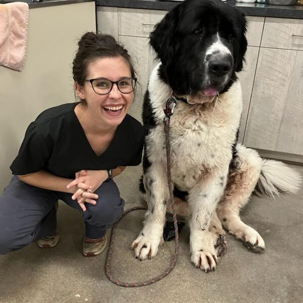 Girl Sitting Next To Large Dog