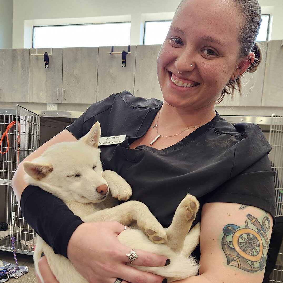 Smiling Woman Holding Sleep Dog Smiling Woman Holding Sleep Dog