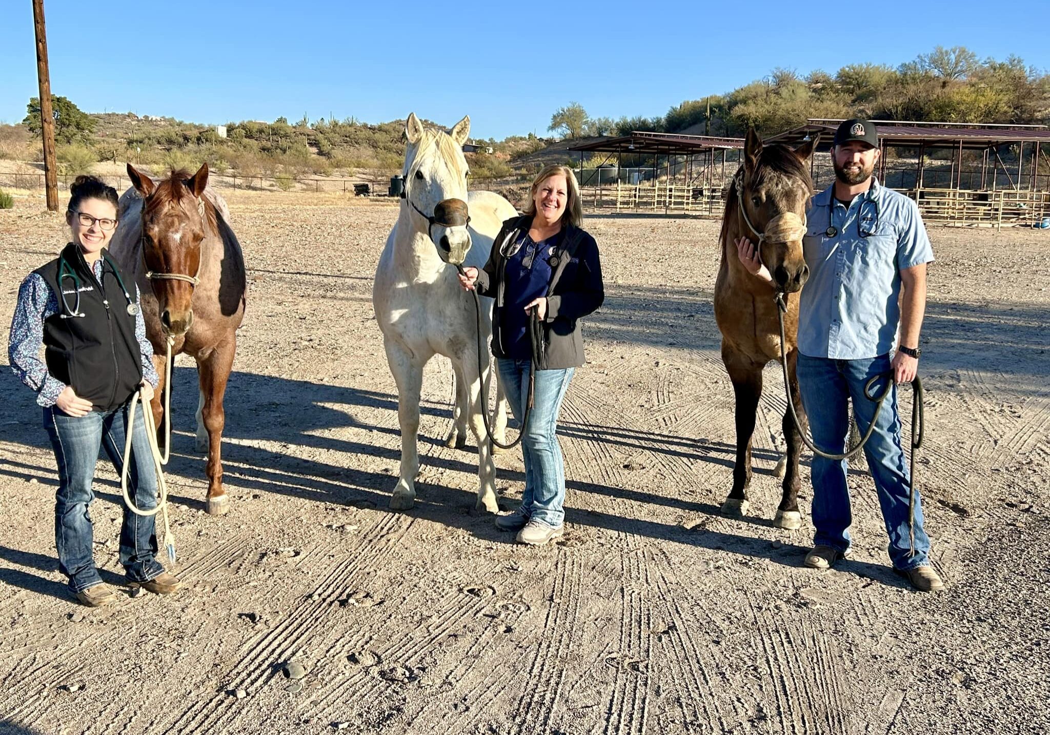 Vets From Hassayampa With Horses