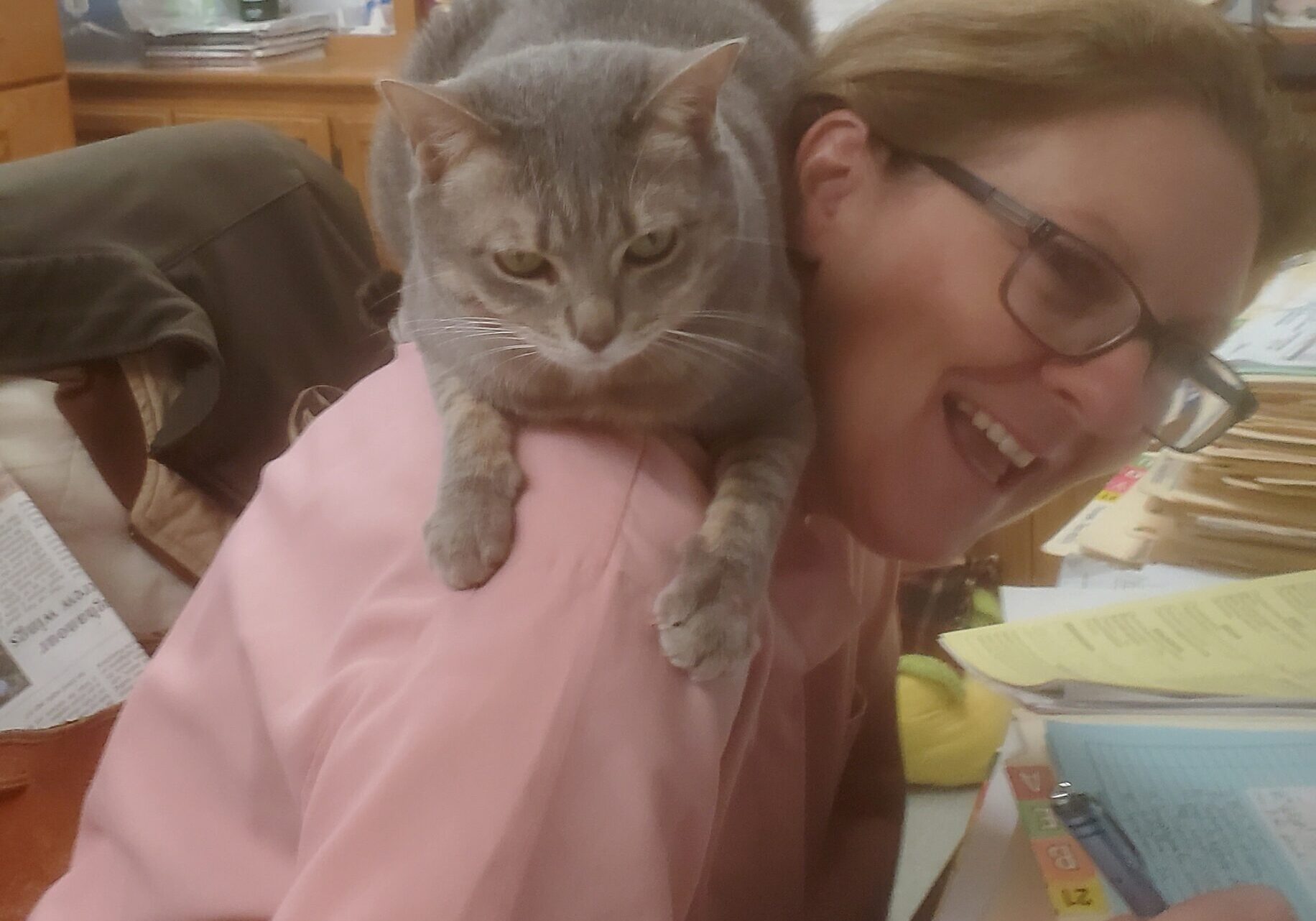 gray cat laying on female veterinarians shoulders